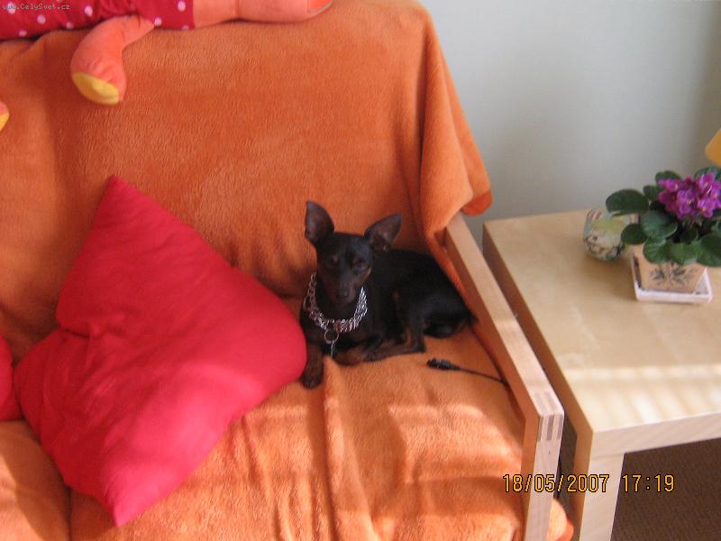 Foto: Matou�ek-Matou�ek v ko��ku