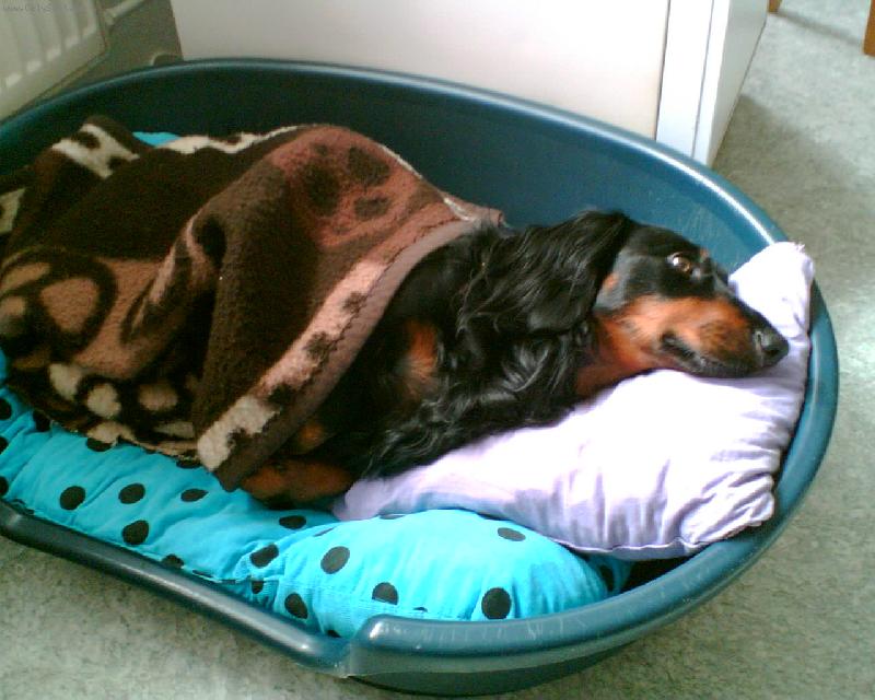 Foto: Jeff ze �t�kotu-Dobrou noc.