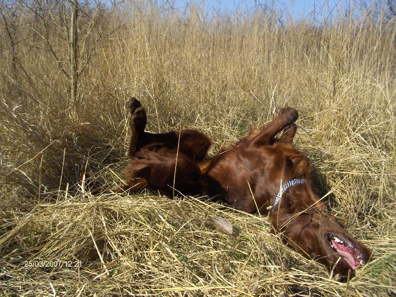 Foto: ...jaro, jaro je tu!-Nora z N�t�ic