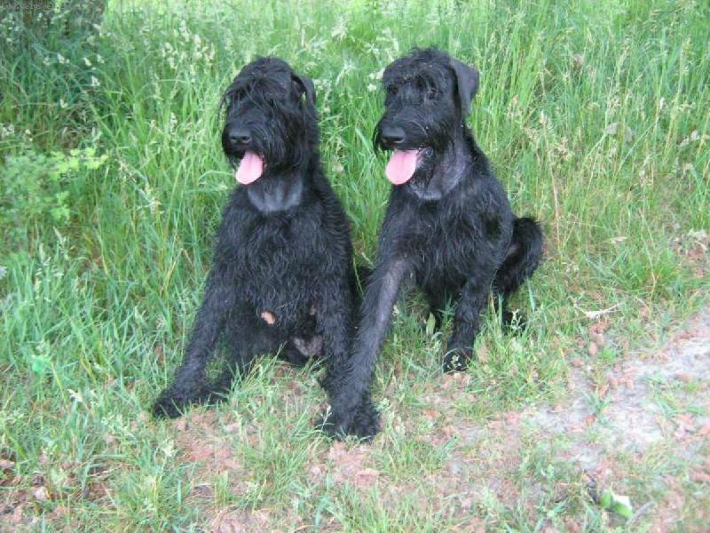 Foto: Cassi z Polab� Boner a Xclamation Bitt Box-Byly jsme si zaplavat a...