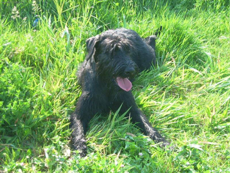 Foto: Xclamation Bitt Box-Trochu odpo�inku po dlouh� proch�zce