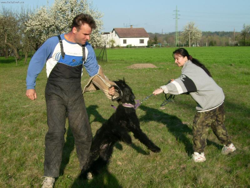 Foto: Cassi z Polab� Boner-co si takhle zakousat?