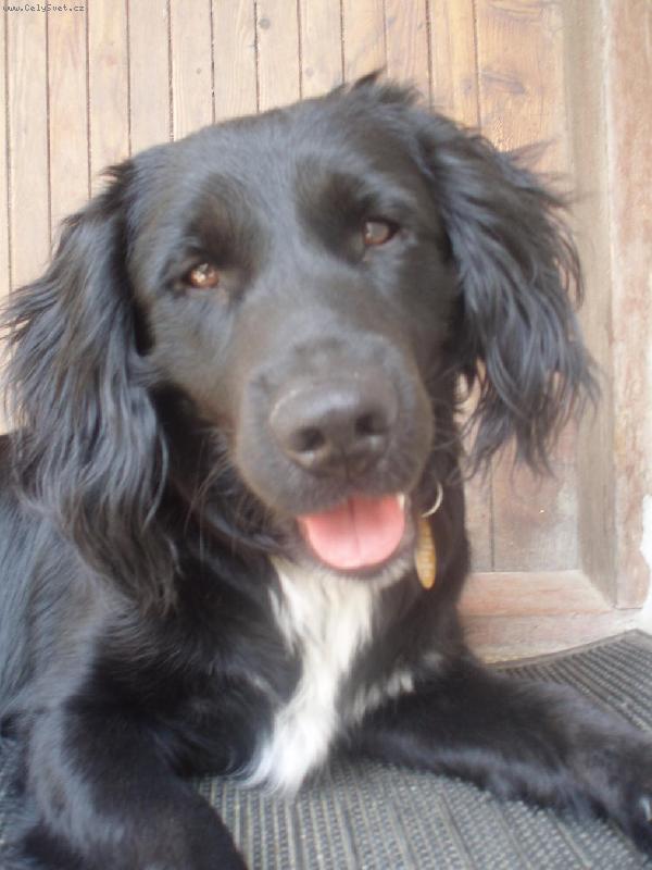 Foto: Muuj mal� sunnynek-velmy krasna fotka