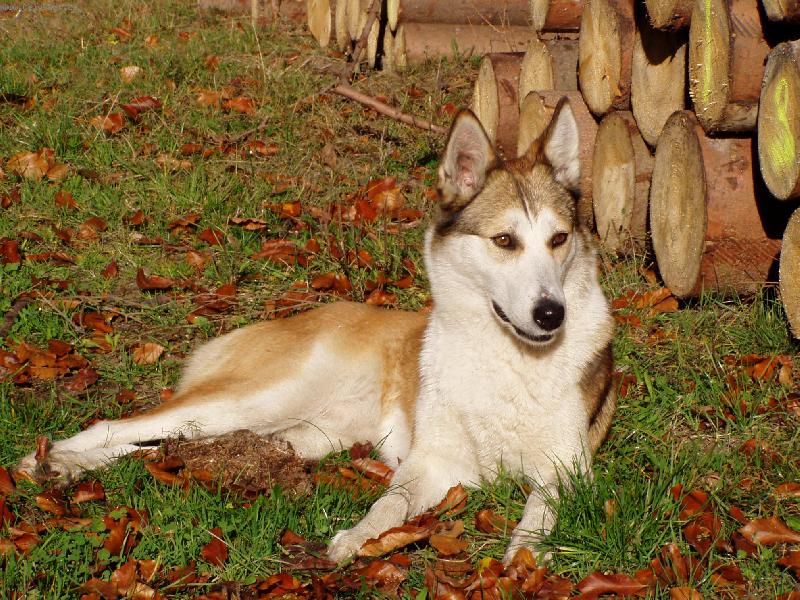 Foto: Akrym z Malinovsk�ho �dol�