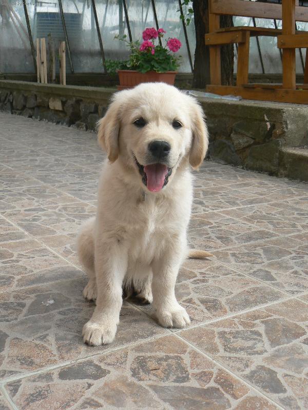 Foto: Jon�ek na zahrad�