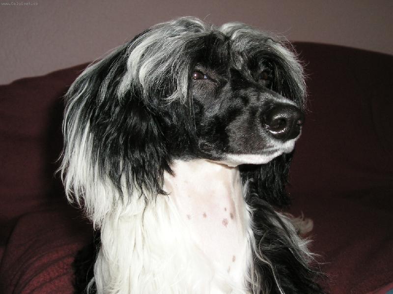 Foto: Juliett Z Kamilova dvora-Na�e slun��ko