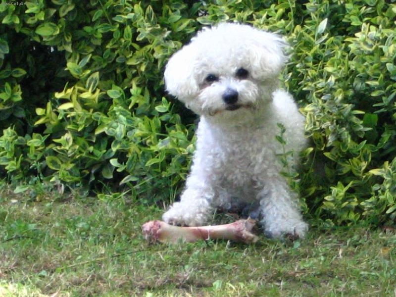 Foto: SISI-To je moja koris�!