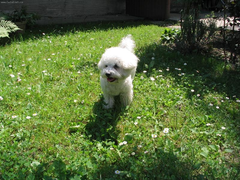 Foto: SISI-Aj tak neuh�dnete, kde som si ten ko�tia� schovala...