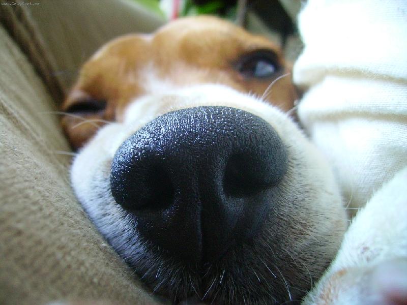 Foto: Aimee - Jastrabia skala-�o to tam m�?