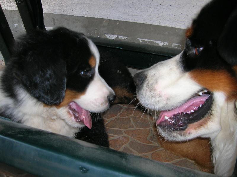 Foto: Akim a Casey-...z o�� do o��