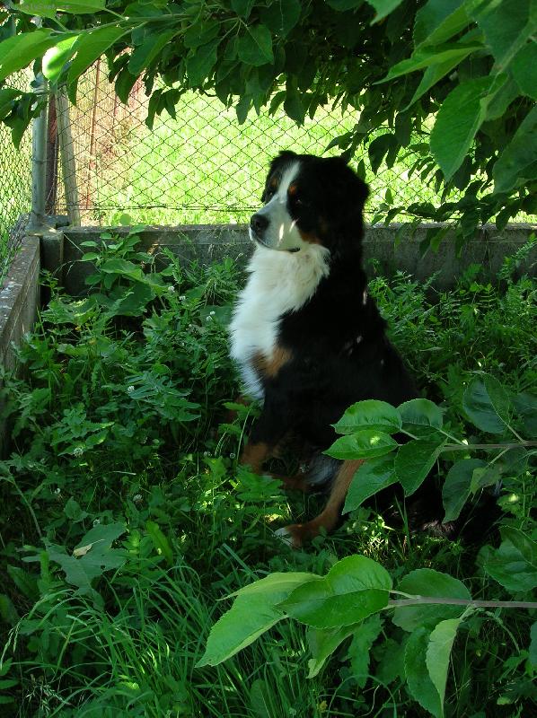 Foto: Akim-tady hl�d�m j�!