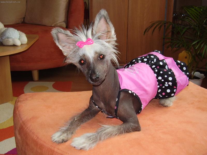 Foto: Fanny 5 m�s�c�-Moje princezni�ka