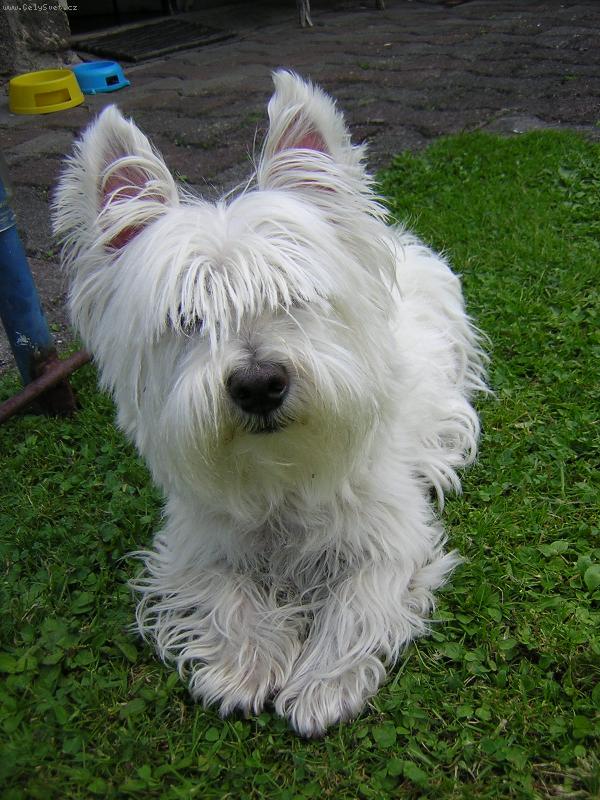 Foto: Kdy� opravdu chci a m�m n�ladu, jsem fotogenick�