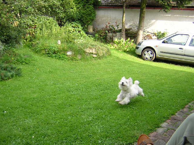 Foto: A kdy� nem�m n�ladu, jsem nepolapiteln� fantom