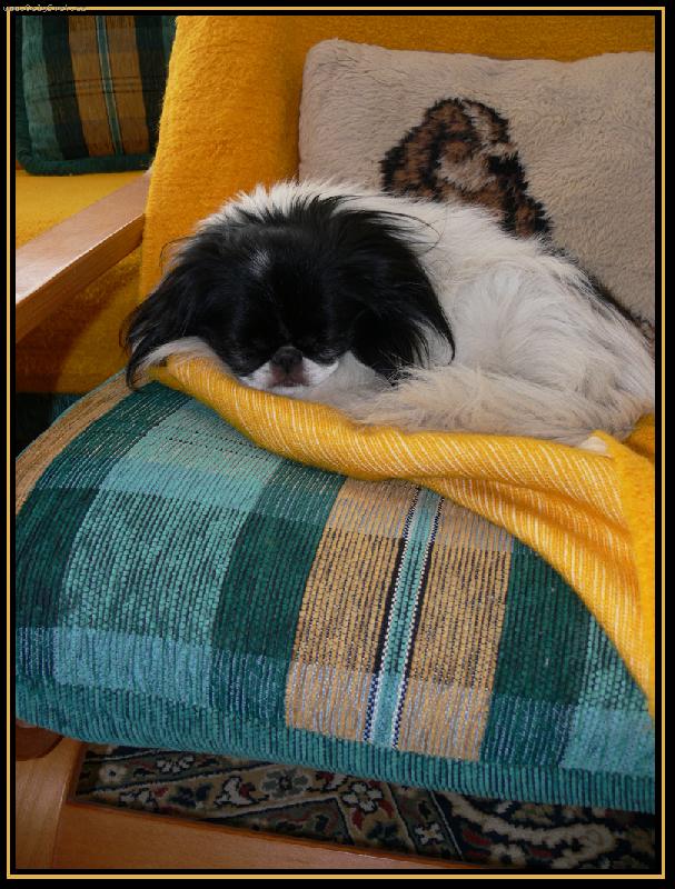 Foto: odpocinek-jak nas Rendik (s kolegou na polstari) umi odpocivat