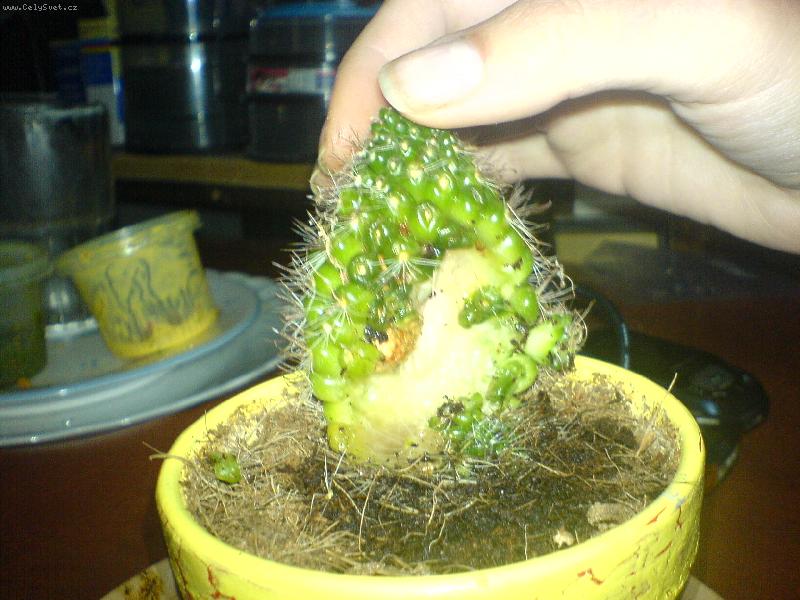 Foto: Co se stalo?-Nespadnul, p�elit�? je to mo�n�?