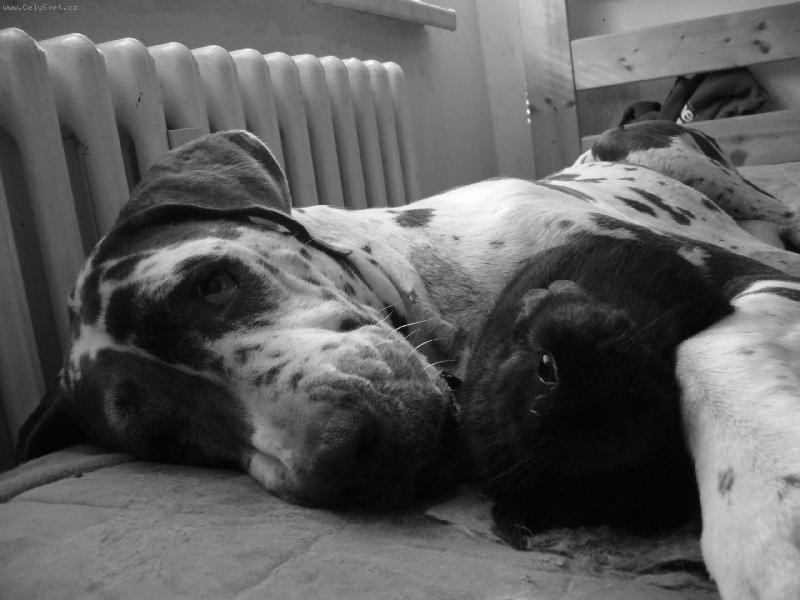 Foto: Leidynka s kamar�dkou :0)