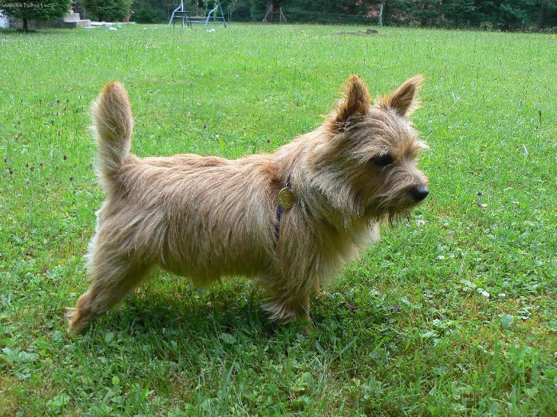 Foto: Jakub z Mu�k�tov� zahrady-Benny