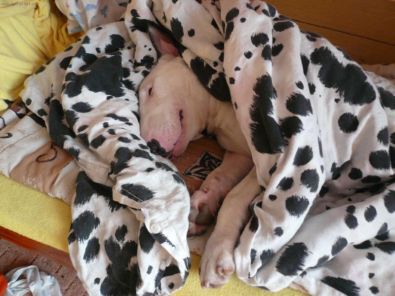 Foto: Samej flek....