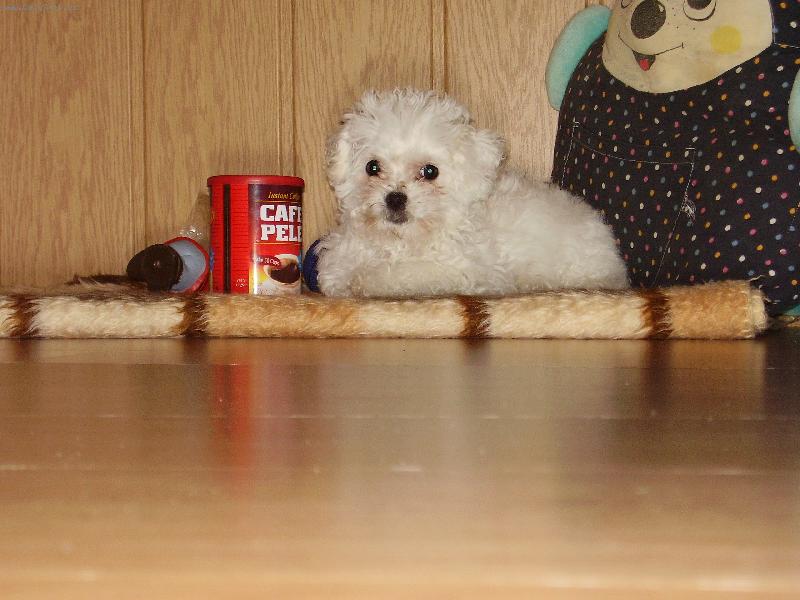 Foto: d� si se mnou n�kdo k�vu?