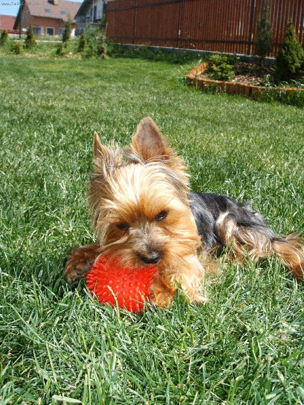 Foto: Charlie:)-Ten je skv�l� a roztomil�,co?:)