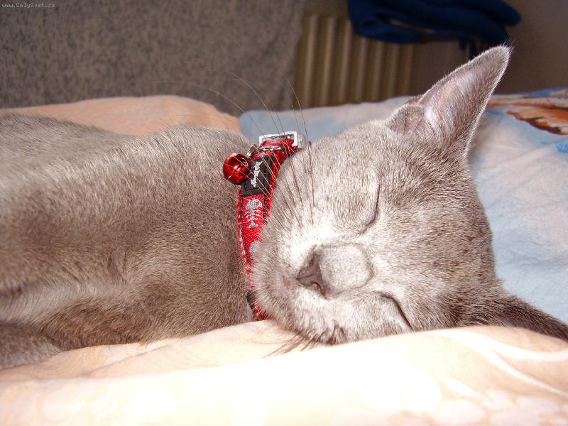 Foto: Ospal� Filinka :D-FILINKA