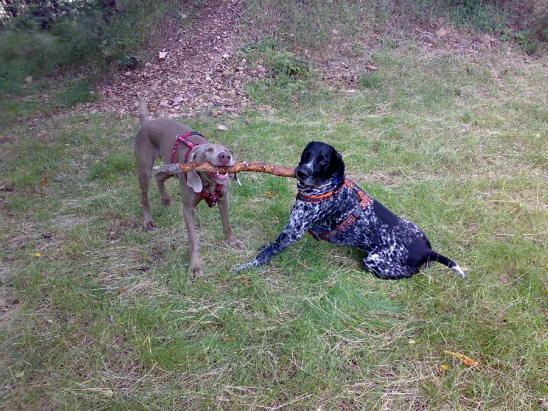 Foto: Dyk a Vega-d�l�me se o v�echno..