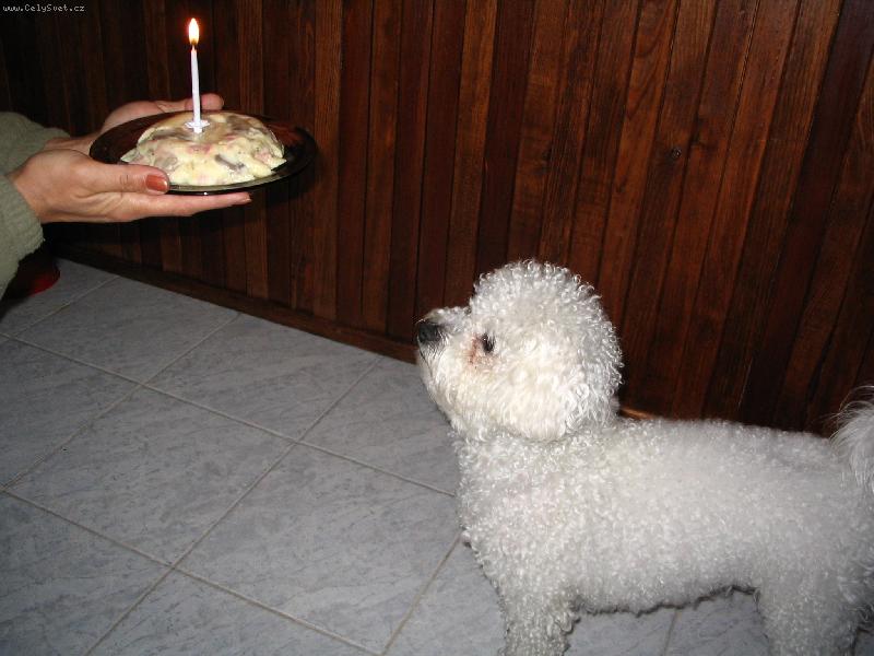 Foto: SISI-V�etko najlep�ie k narodenin�m...