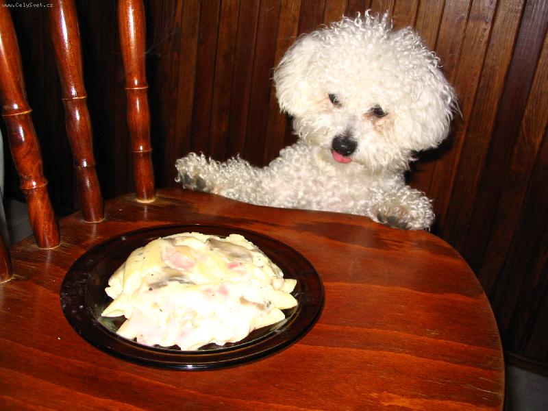 Foto: SISI-To asi naozaj m��em zjes�