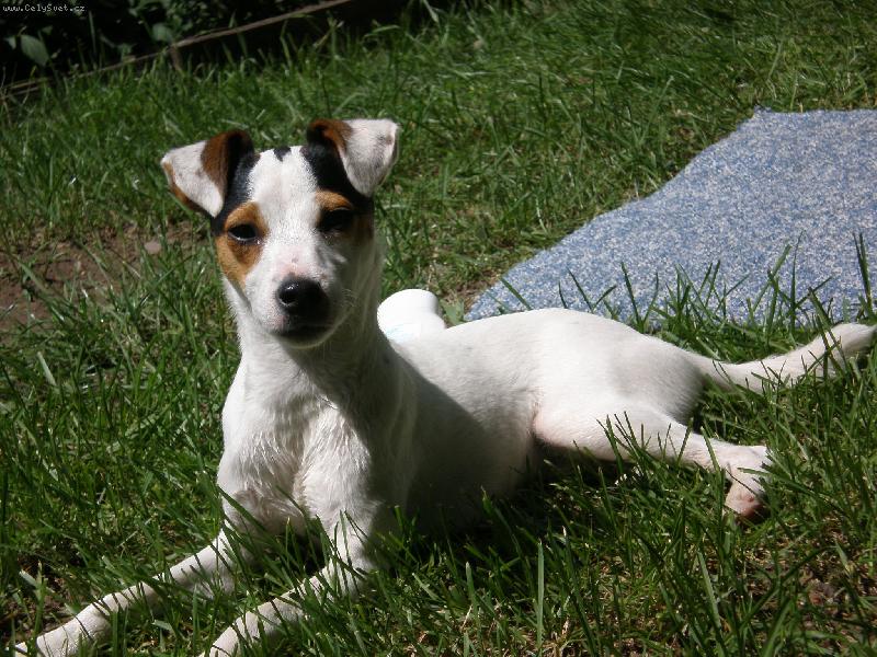 Foto: Agnes leno��