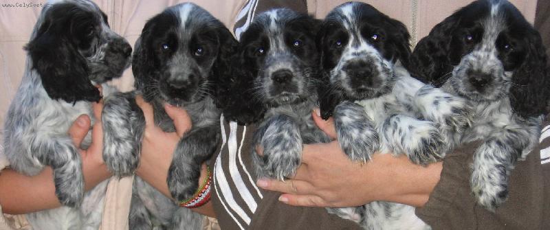 Foto: Vrh F-Na�i bru�ci