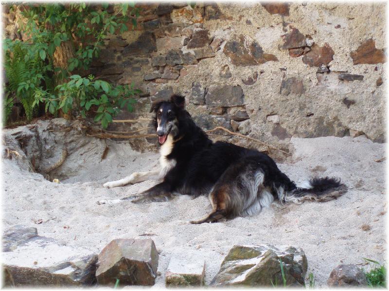 Foto: To je moje mal� pl�....-Donnatela ��nsk� hedv�b�