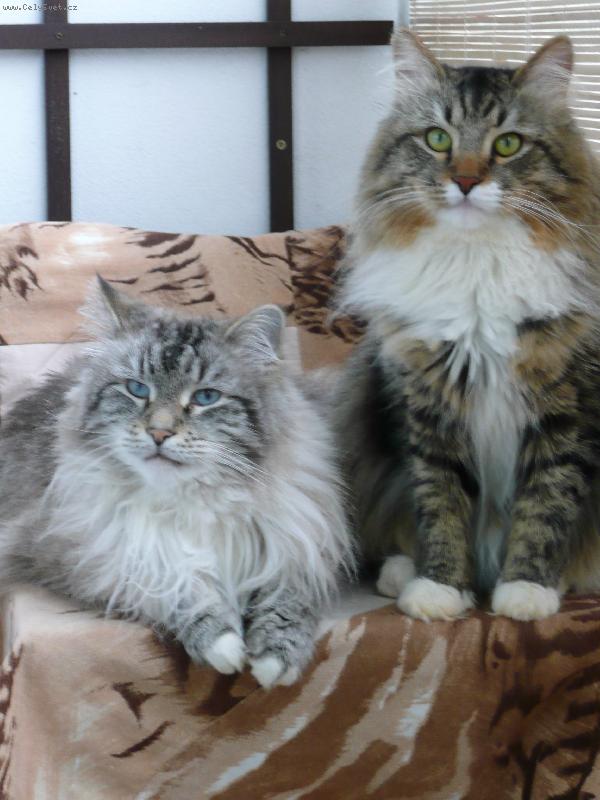 Foto: Rodinn� foto-Ivan a Maxim