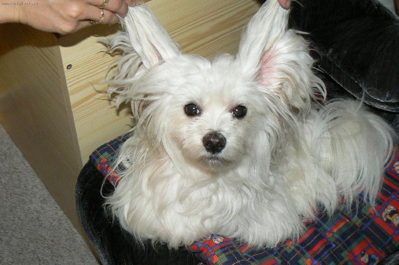 Foto: Kimi-kdy� pr�� tak na�eho Kima trochu tr�p�me