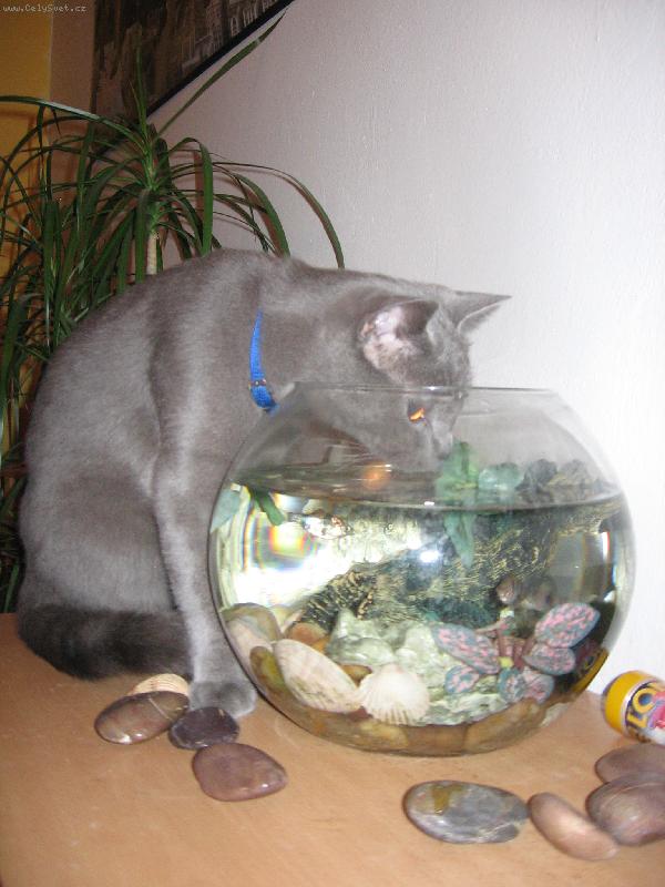 Foto: Max dodr�uje pitn� re�im