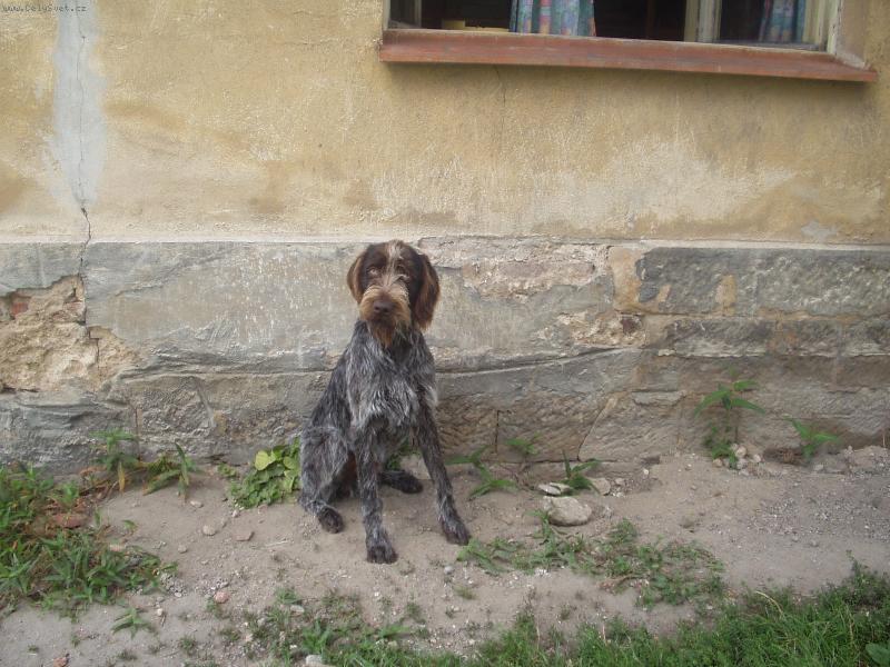 Foto: Barry od Hlavn�ku