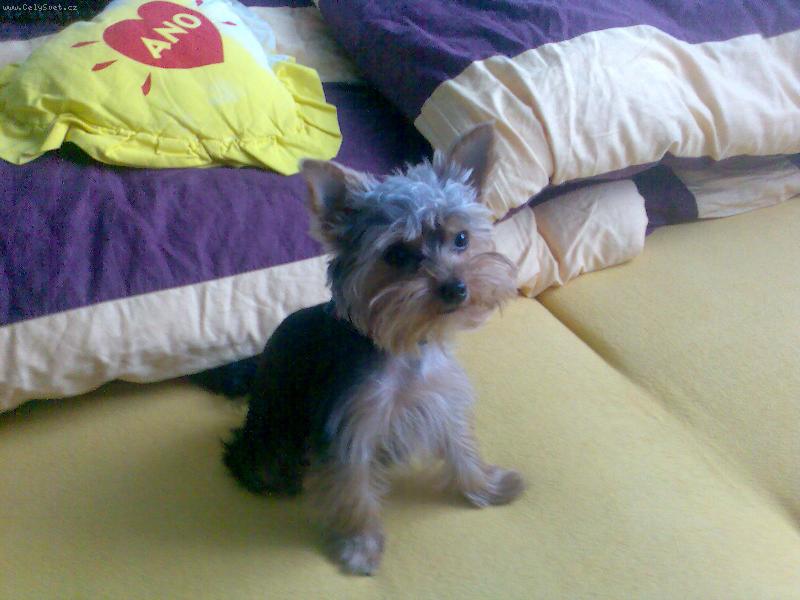 Foto: Jessinka-Jessinka