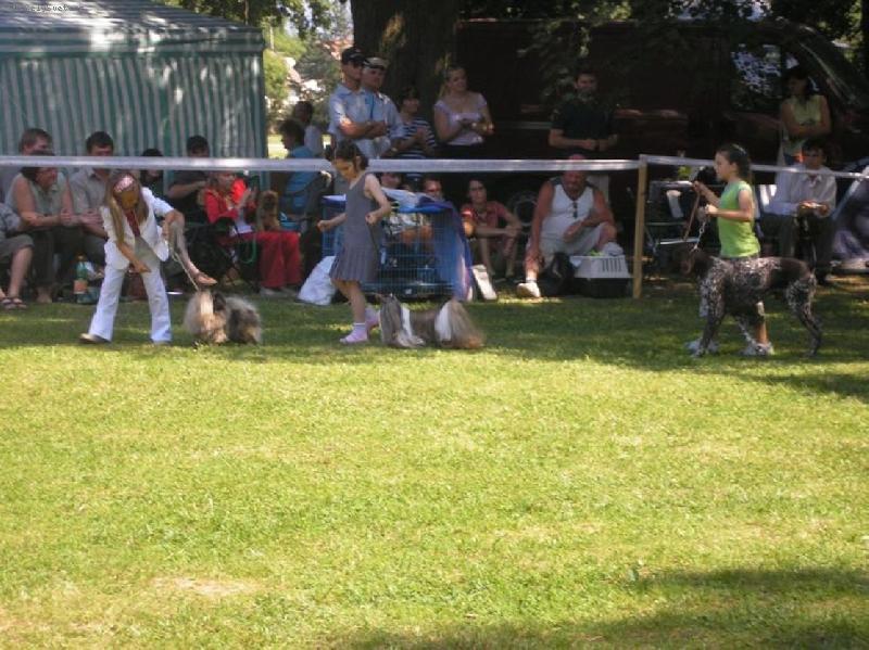 Foto: CH.Jeron Atrei-CVP Ko�ice 15.7.2007, 2. miesto Die�a a pes
