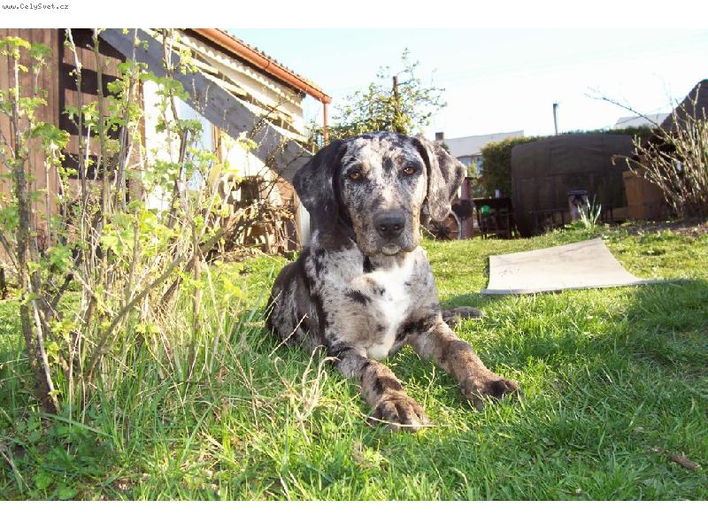 Foto: Ax Araraquara-Ax Araraquara