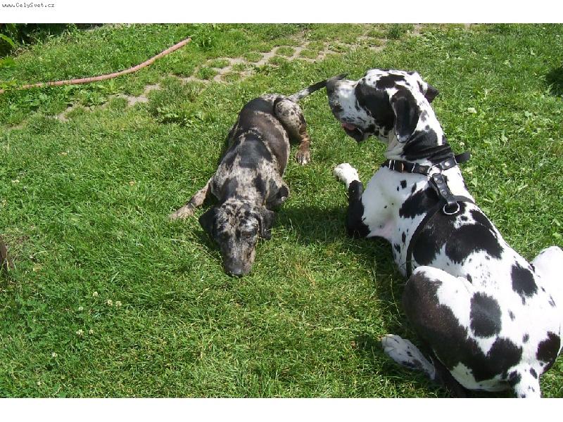 Foto: Ax Araraquara-Ax Araraquara