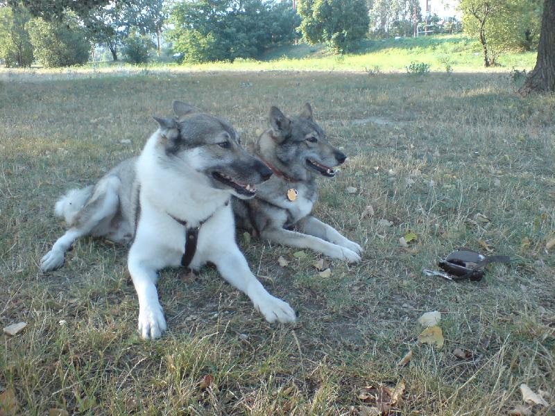 Foto: Askis a Asta tesne po....