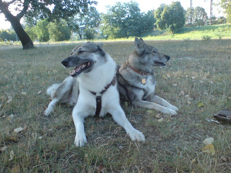 Foto: Askis a Asta tesne po....