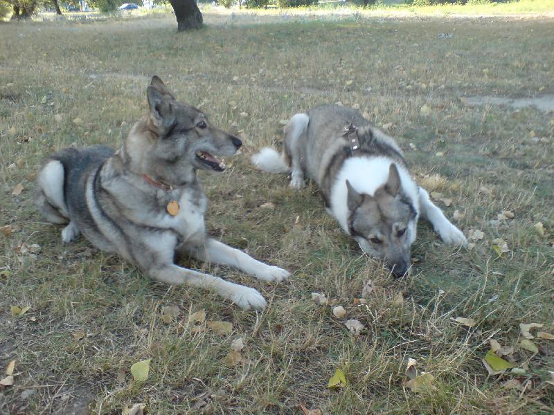 Foto: Askis a Asta tesne po....