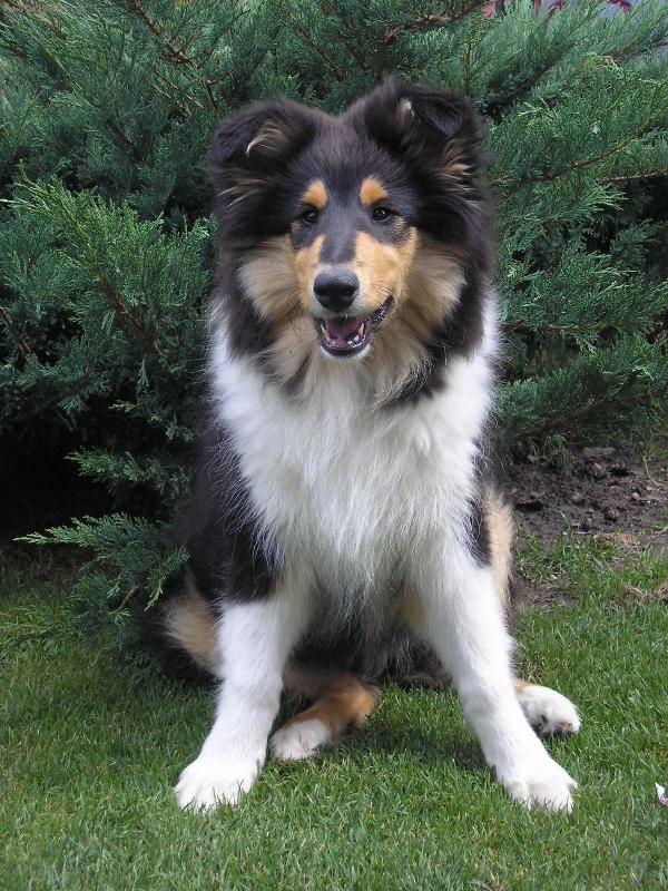 Foto: New Face of African Gold-16.t�den - necel� 4 m�s�ce