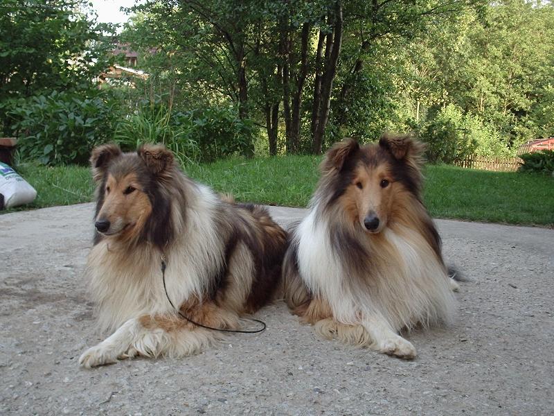 Foto: Moj� mil��ci :)-No nejsou n�dhern� :)