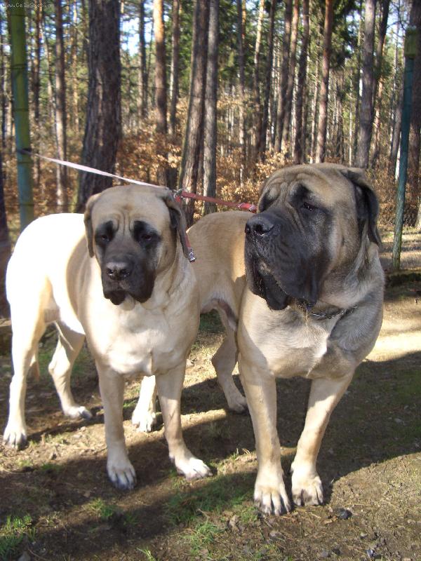 Foto: Kendy   Babetka