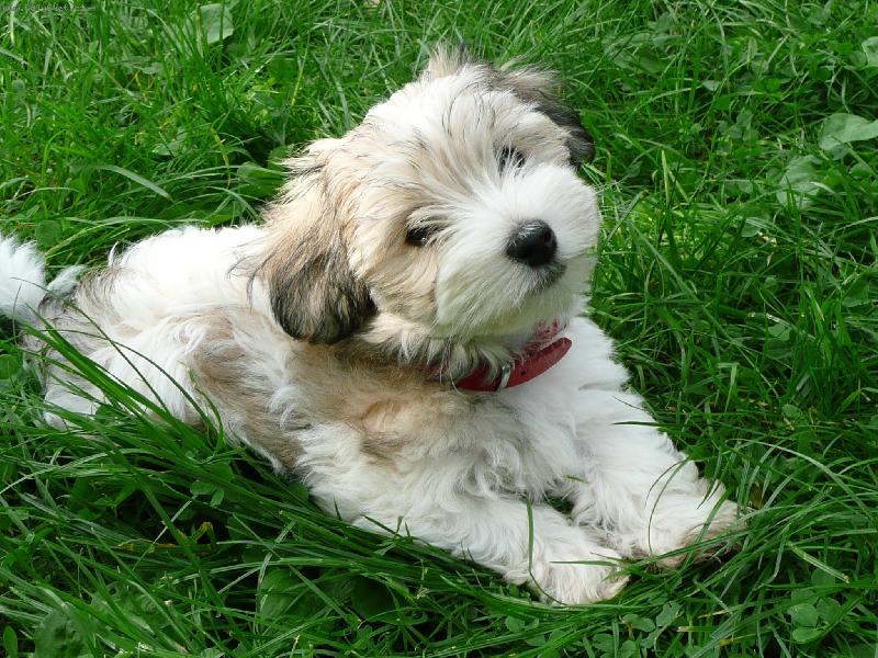 Foto: Jessie 3 m�s�ce-na�e Jessie 3 m�s�ce