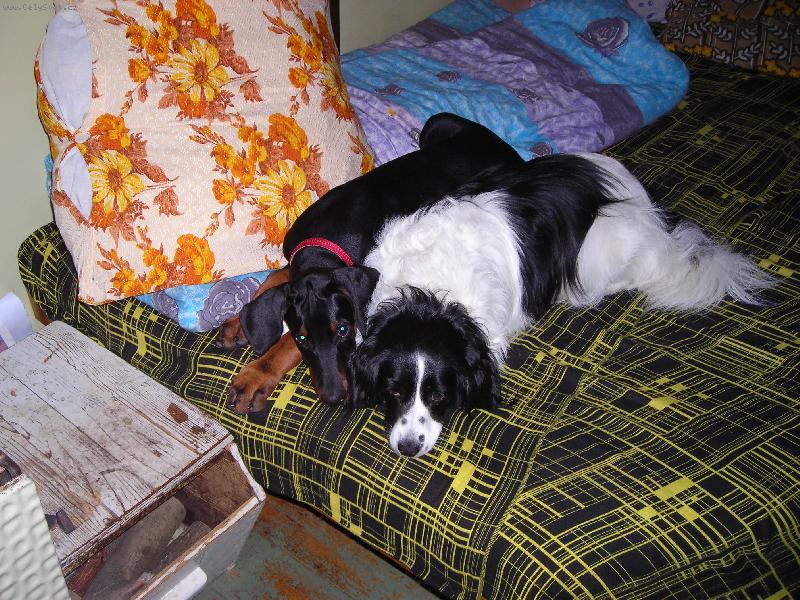 Foto: Velk� kamar�dky-Tak tohle je moje Peggynka...a zitim je je�t� v�t�� ne� j�...ale ne na dlouho