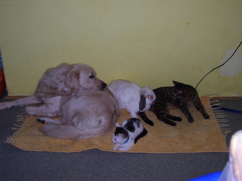 Foto: My se m�me r�di