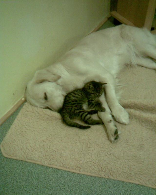 Foto: tak se p�itul, j� t� zah�eju